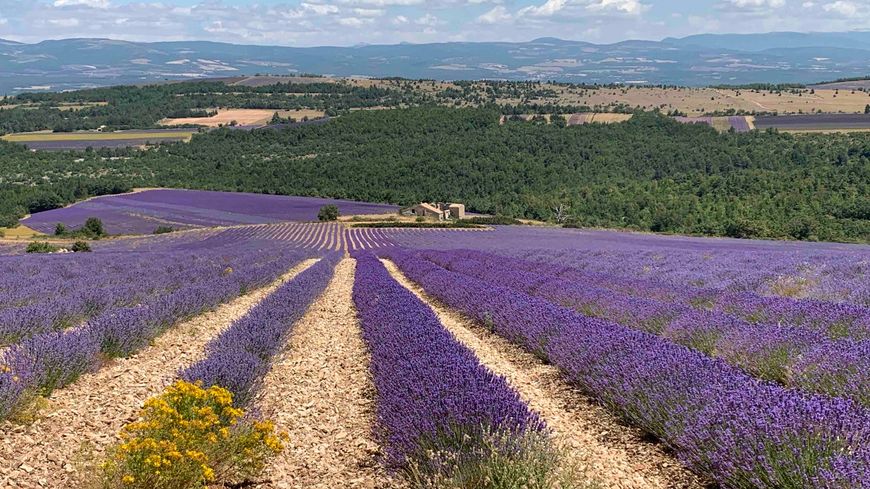 randonnée Drôme